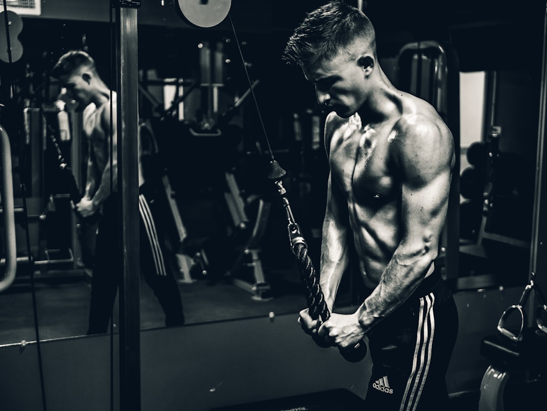 Sustained energy nutrition